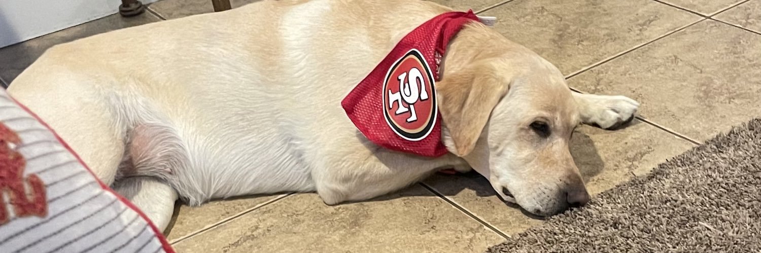 norcalQtee's profile banner image
