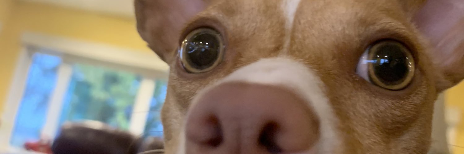 KarleyAlexander's profile banner image
