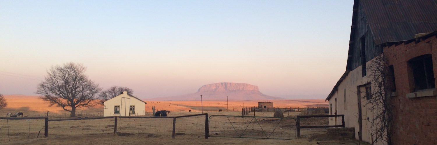 Rohan Dickson banner