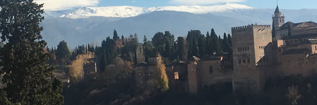 Modesto Domingo banner