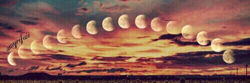 _najlaaf's profile banner image