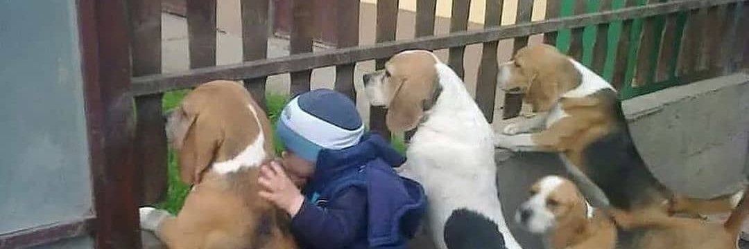 SteveJordans #3milhões ↪ banner