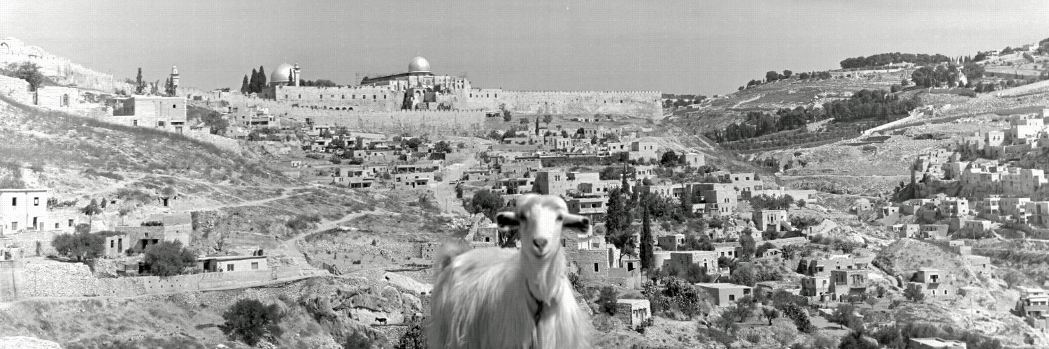 نير حسون Nir Hasson ניר חסון's banner