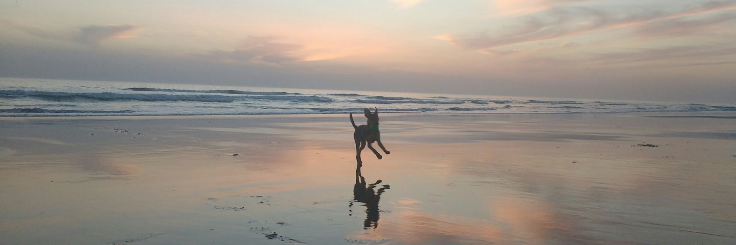 GeroniMolero's profile banner image