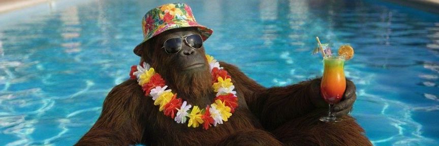 Martin the Red banner