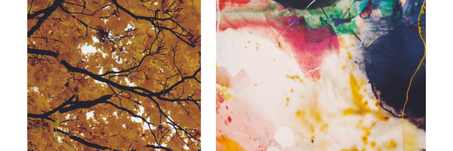 paulachka's profile banner image