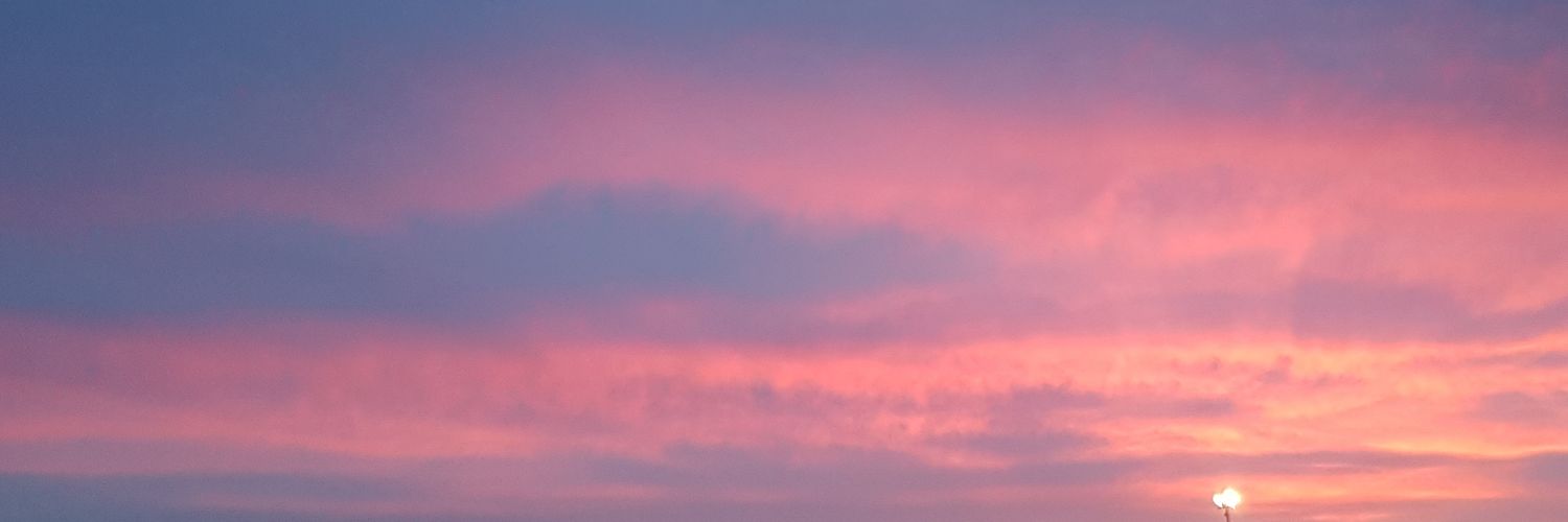 nuttie01's profile banner image