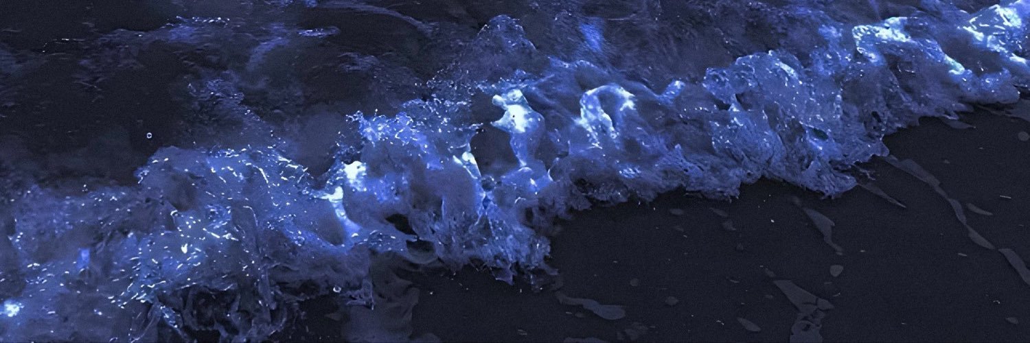 kttannx's profile banner image