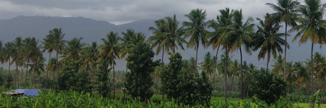 Sikkandar Javith banner