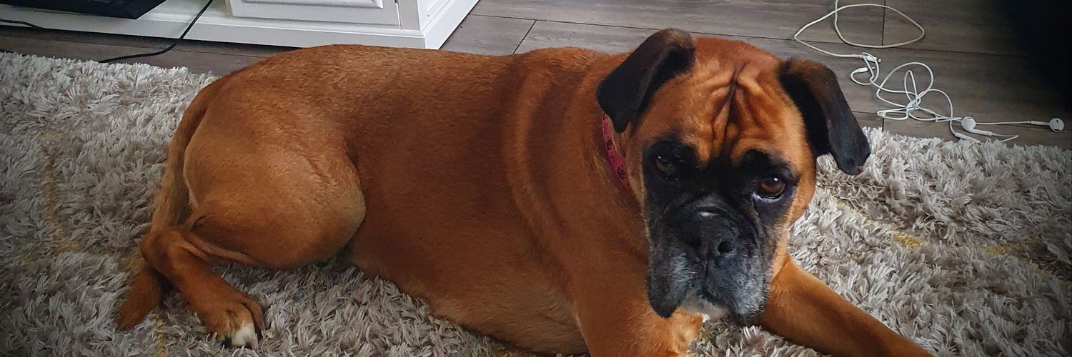 dazforsyth1888's profile banner image