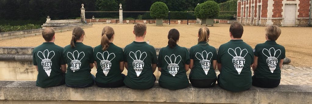 Debbie Sparkes banner