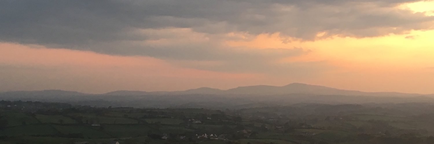 aoiferea's profile banner image