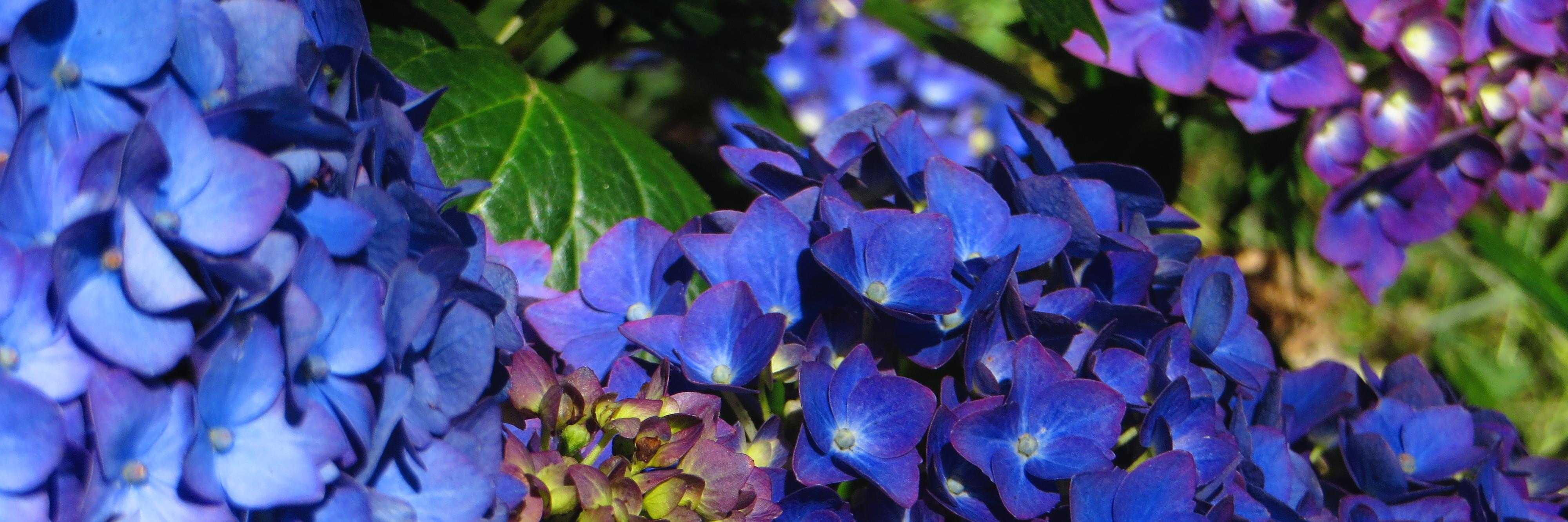 Ingiapaz's profile banner image