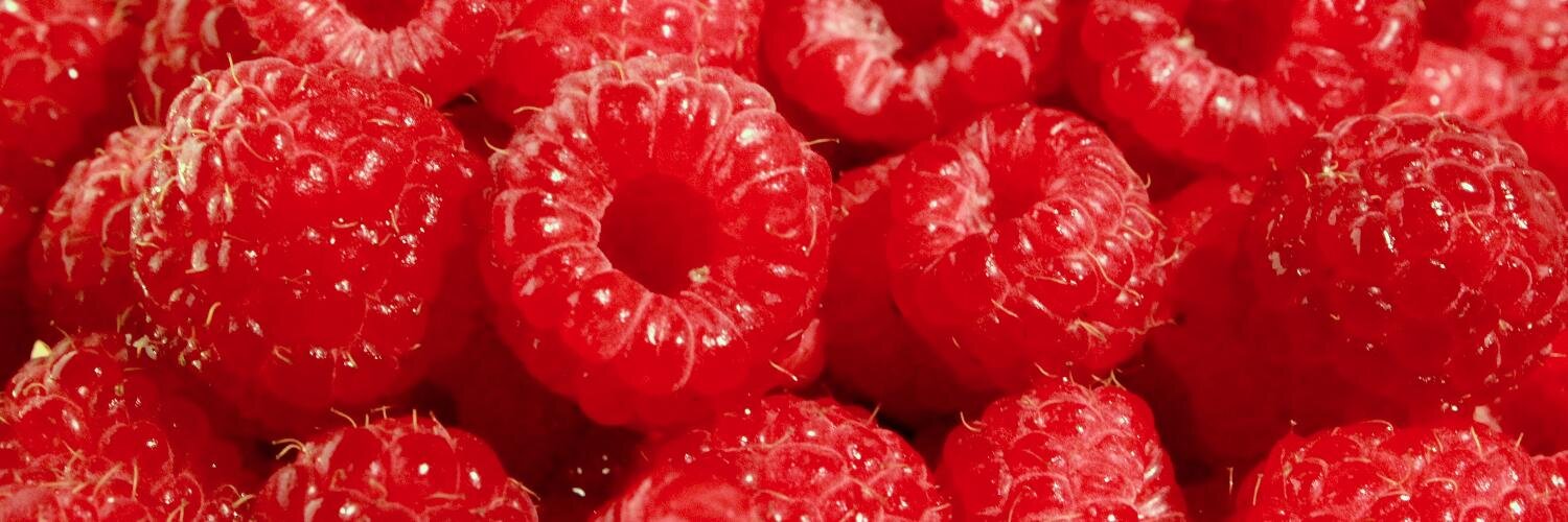 Ale Correa ✌️ banner