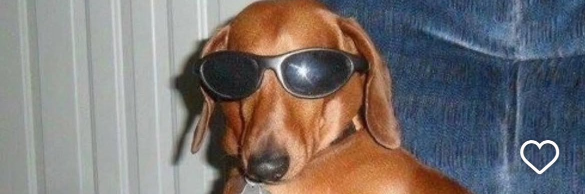 lennuxa paraense banner