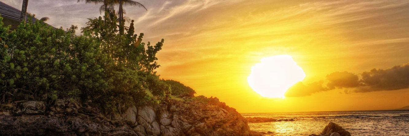 arya_nalin's profile banner image