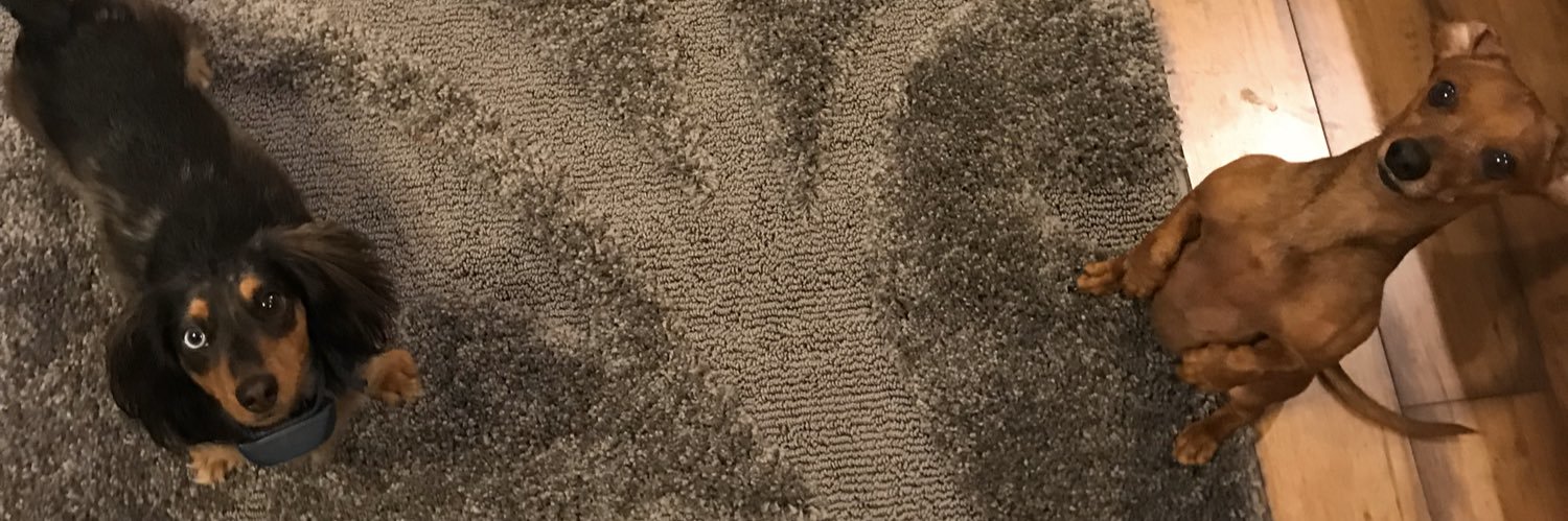 CourtneyRappe's profile banner image