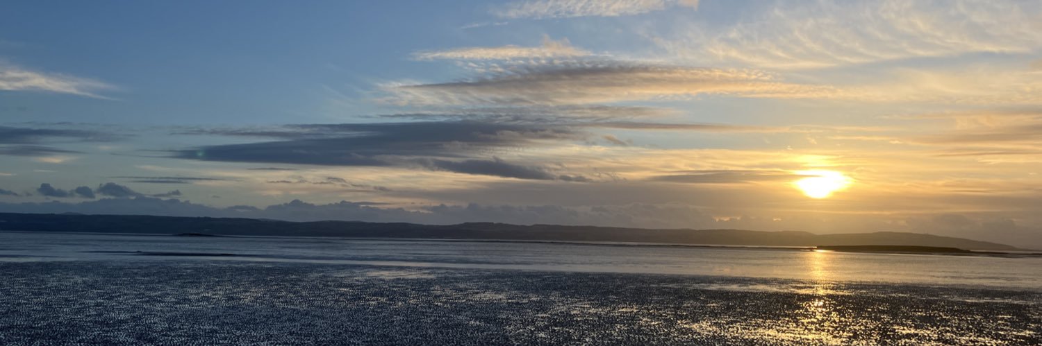 Maria Polachowska banner