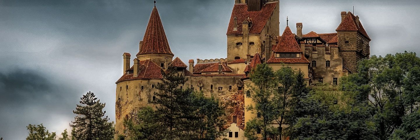 Isabela Ududec banner