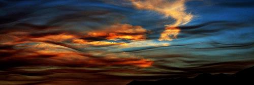 WillemsWeer's profile banner image