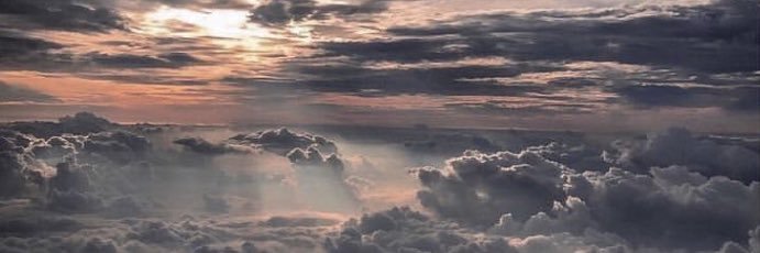 Ellen Cereceda banner