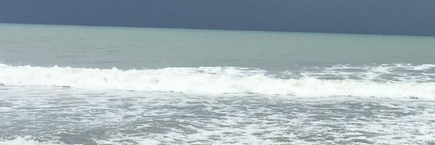 Galo Sandoval banner