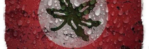 ElginCard11 Profile Banner