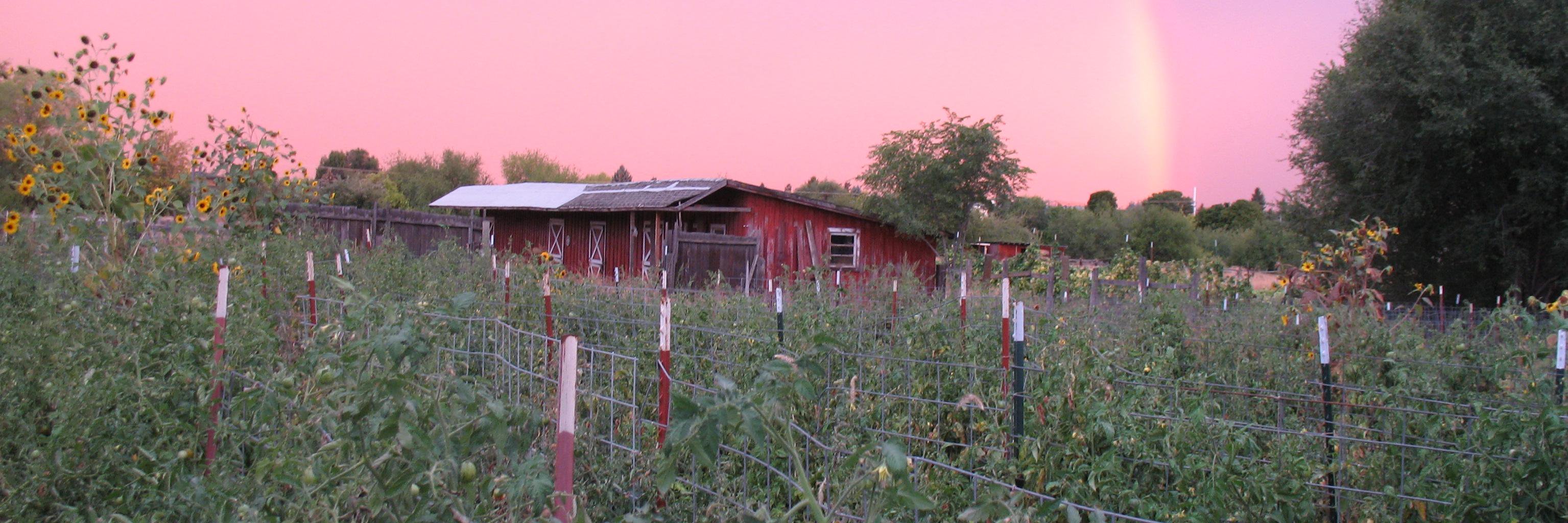jacksonfarmpro1's profile banner image
