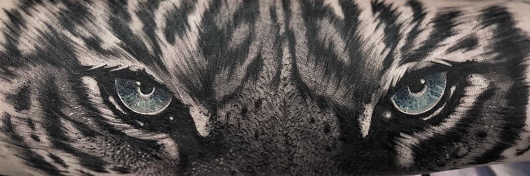 ZandyMichelle1's profile banner image