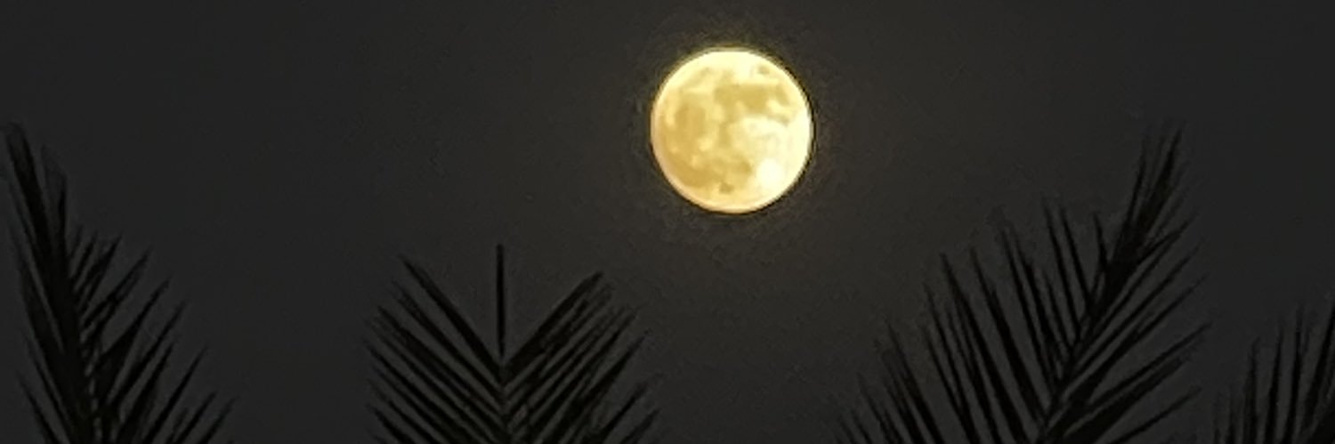 مدرج banner