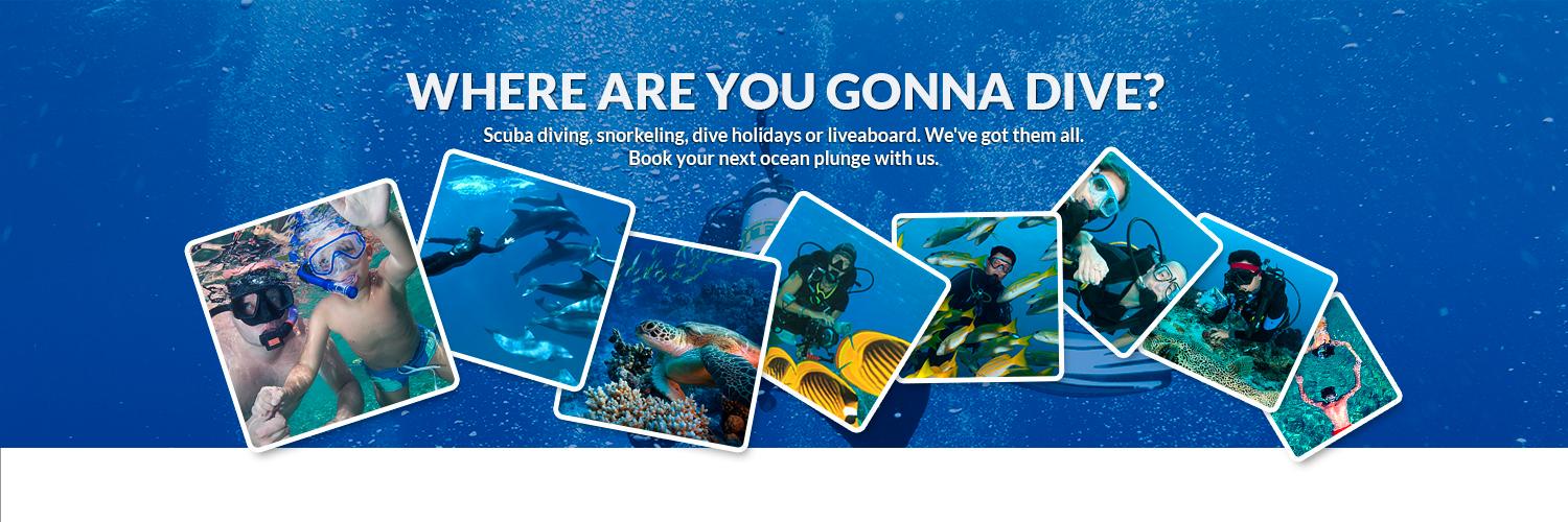 GonnaDive.com banner