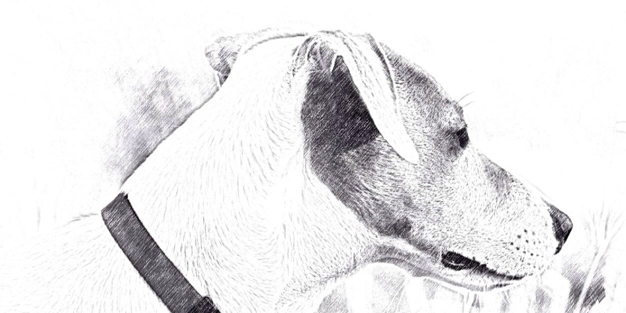 migueAER's profile banner image