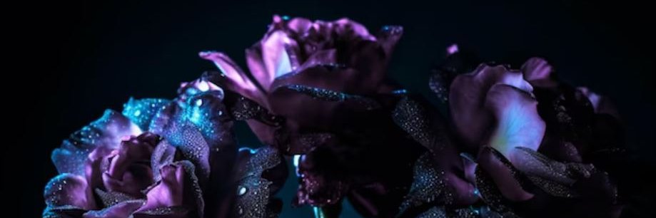 crystalinedragon banner