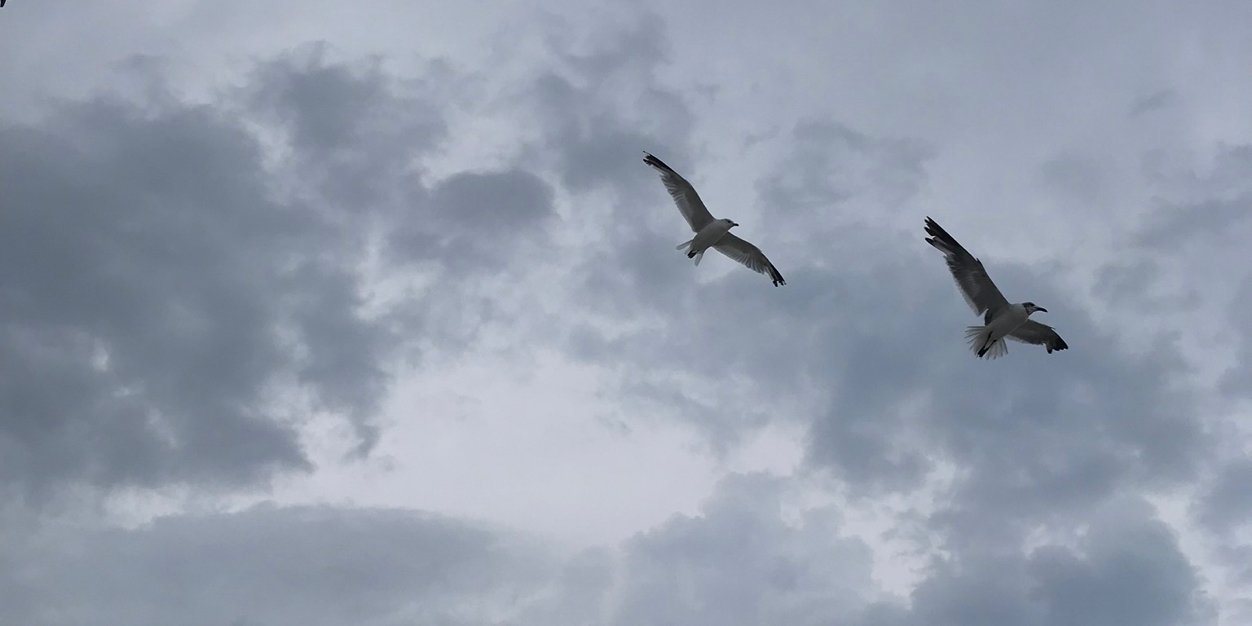 coharr's profile banner image