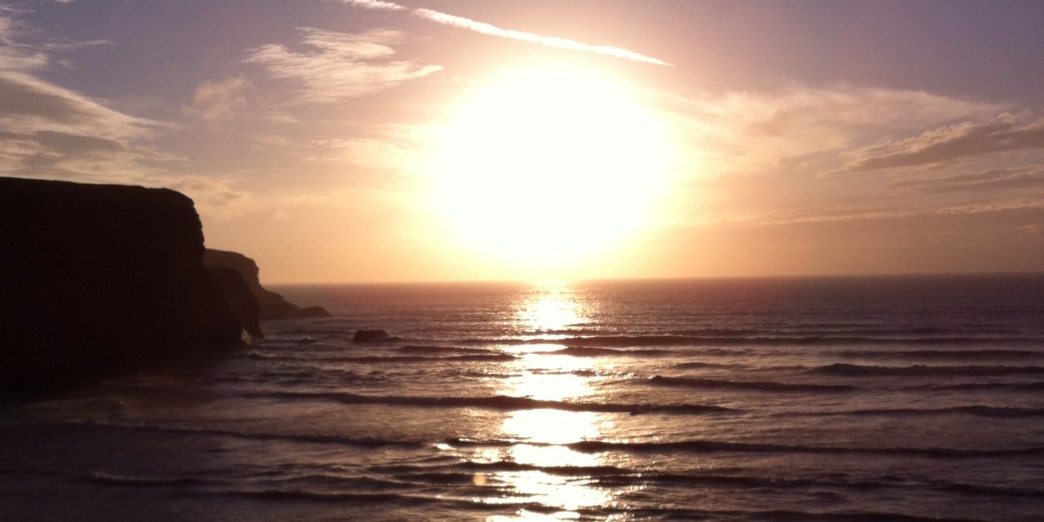 Stacey Williams banner