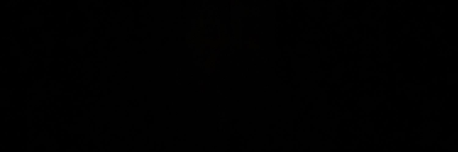 sraid_'s profile banner image