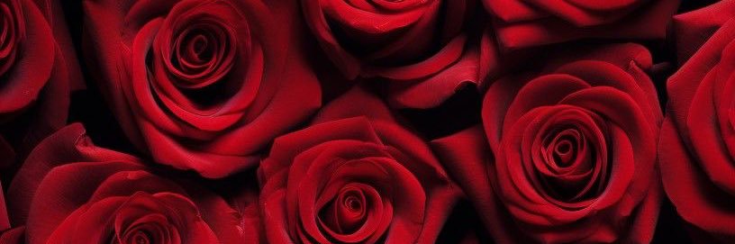 Nene_TooPretty's profile banner image