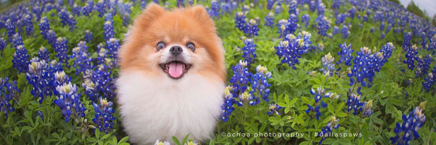 OchoaPhoto's profile banner image