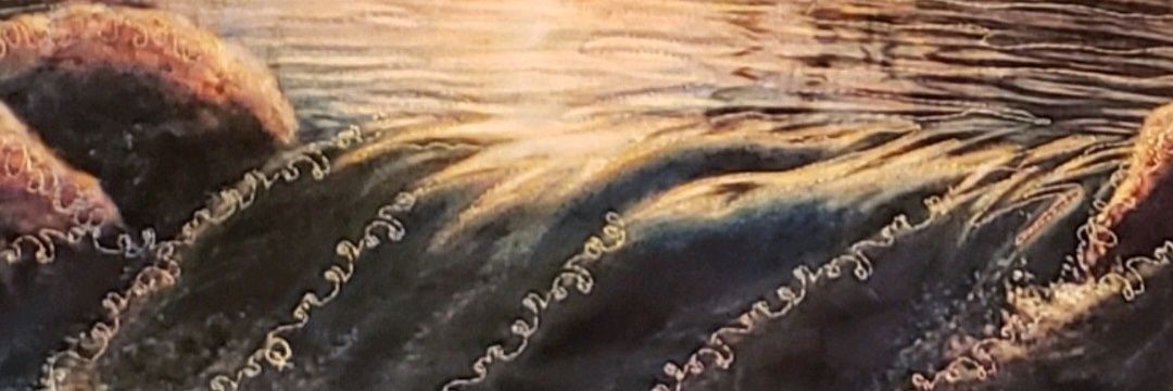 donnalhsmith's profile banner image