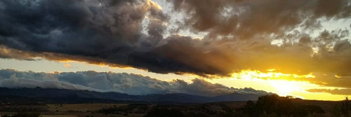 rodenalf's profile banner image