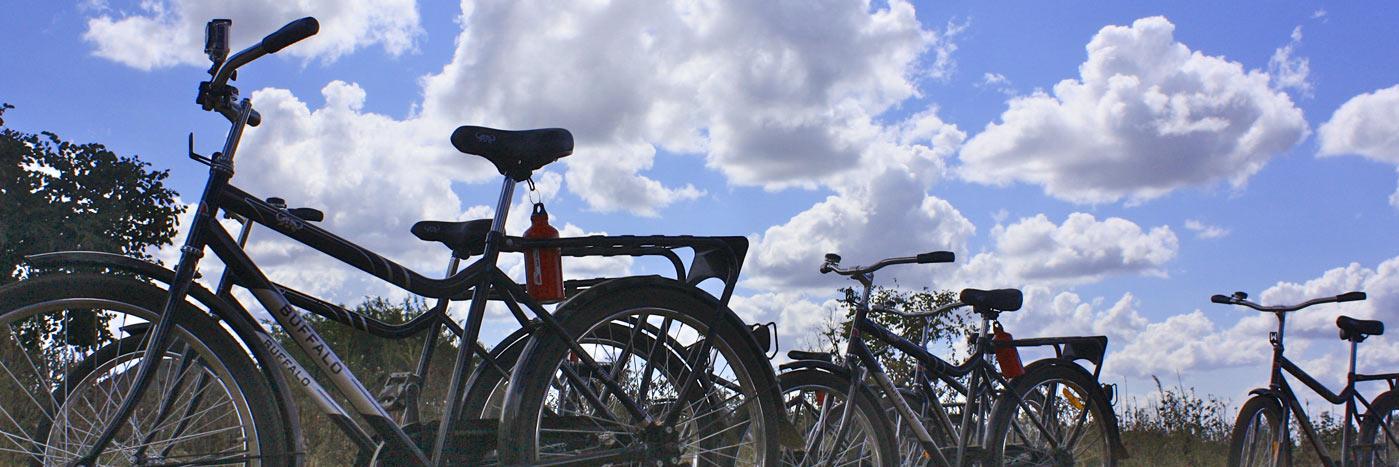 Bikes4Everyone's profile banner image