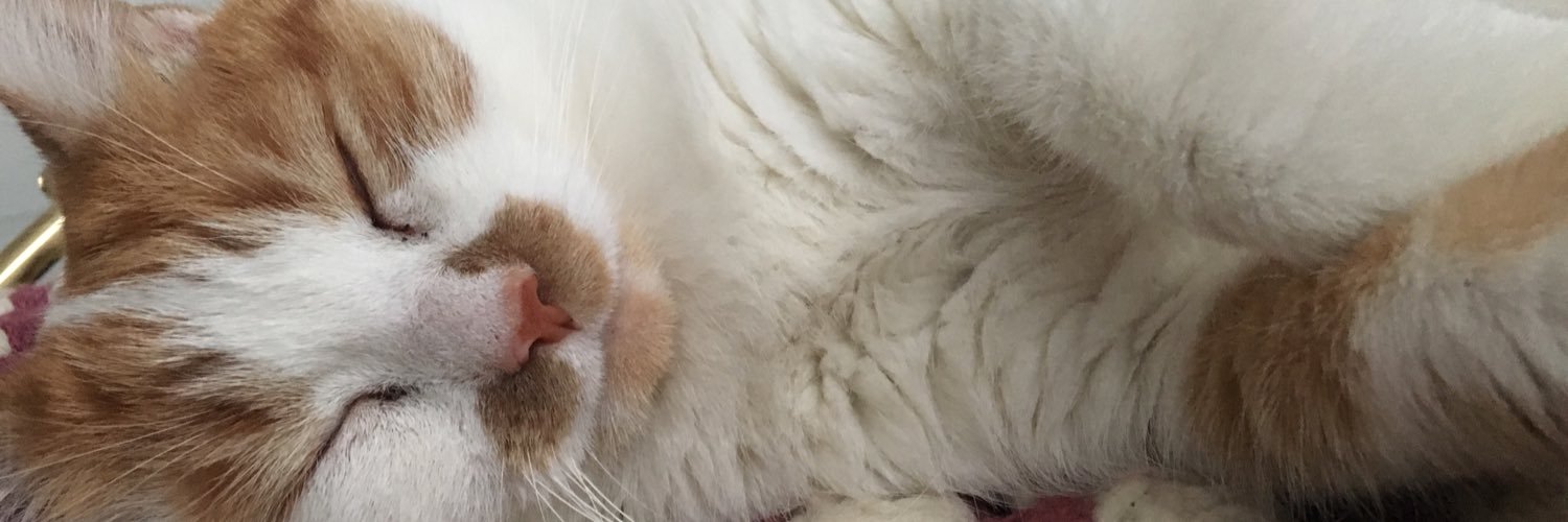 Madisonriley21's profile banner image