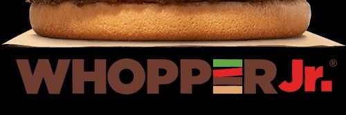 bckoster's profile banner image