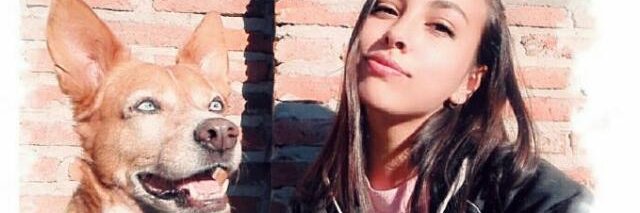 Flor_Snchz's profile banner image