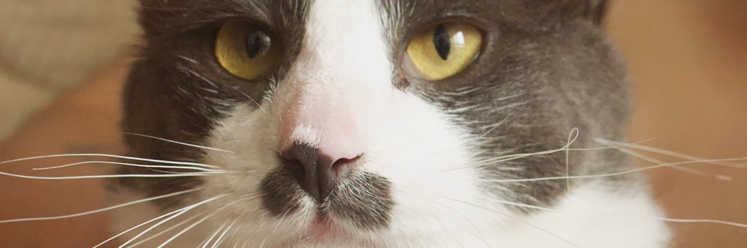 xandle_'s profile banner image