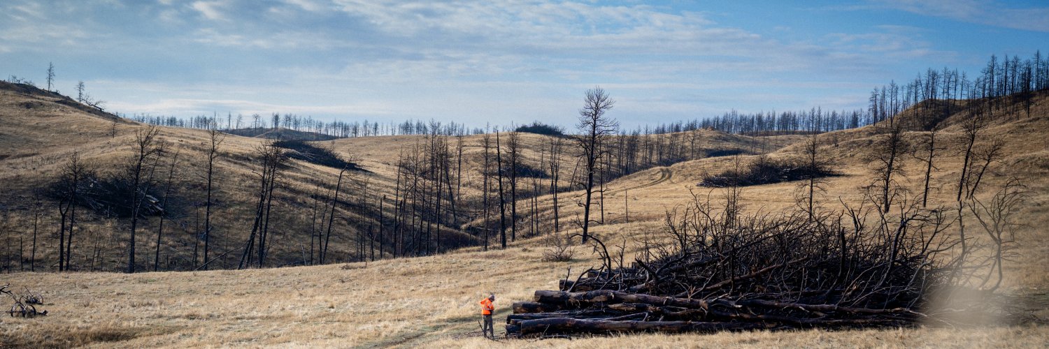 Mast Reforestation banner