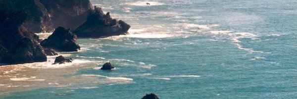 steljoma Profile Banner