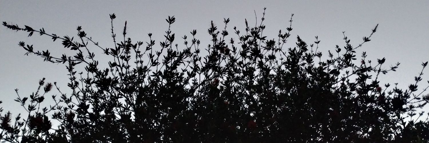 obregonz's profile banner image