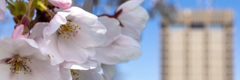 Dr. Rajiv Jhangiani banner