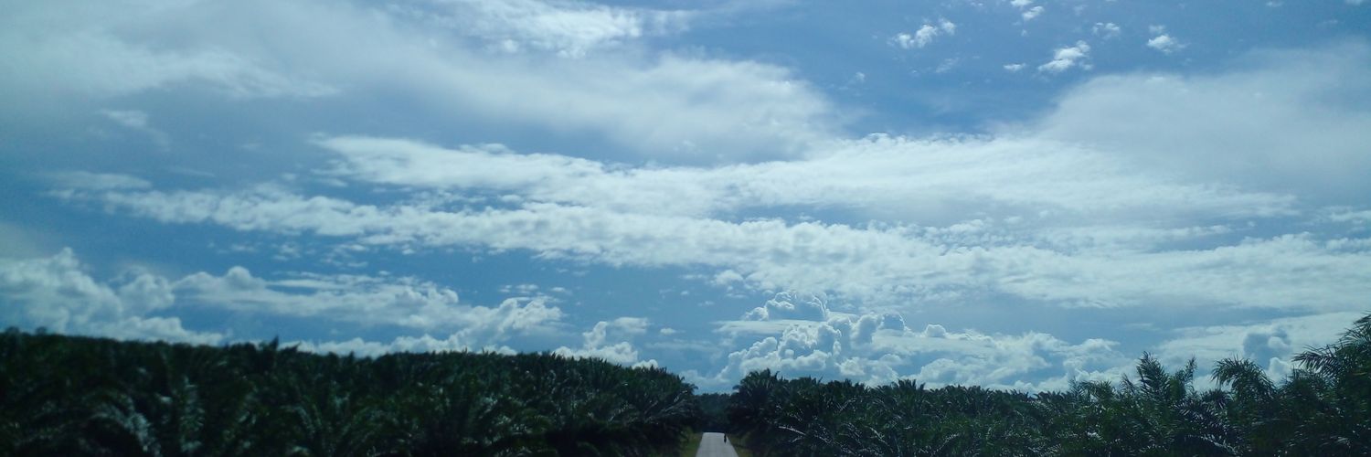 atinAishah's profile banner image